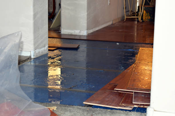Professional Basement Water Removal technician working in Springfield, OH
